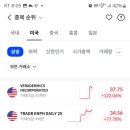 (주)이에스엘에듀케이션(지점) | [2026/2/4 - 미국 상승 TOP 10종목 분석] 베라더믹스 (MANE) 상장 첫날