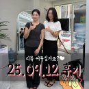 광주역다올공인중개사사무소 | [서울대입구역 반려동물 가능 빌라 계약후기] 올리모델링된 깔끔한 투룸! 고양이 집사님 만족하신 집 :)