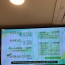 국내 가을 가볼만한곳 담양 여행 (가을 당일치기코스/ 맛집 /카페 추천)단풍명소
