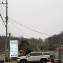 대사할머니 | [대부도 맛집] 할머니 손맛 그대로! 구수함 끝판왕 <벚나무집> 청국장 후기