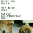명윤 이미지