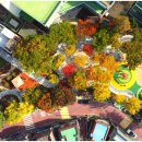 달래 어린이공원 이미지