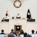 295 이미지