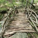 오두산 치유숲 이미지