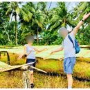 국수마을 이미지