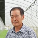 함평참쑥 영농조합법인 이미지