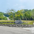 원미종합시장 이미지