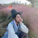 몰리(MOLY) 이미지