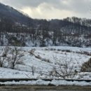 주봉보건진료소 이미지