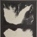 H1977 연합뉴스