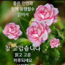 [날씨&운세]6월 28일 수요일 날씨&운세 이미지