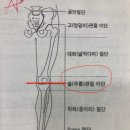 (주)탑메디오피아
