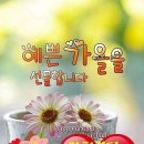 효진통신 이미지