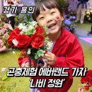 에버랜드 나비정원 아이와 꼭 가봐야 하는 체험