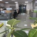 세무법인드림앤 이미지
