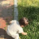 놀이터 | 세종시 땀범벅놀이터 후기｜대전 근교 아기랑 야외 나들이 추천💦🌿