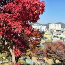 유아숲화장실 | 장성 가볼 만한 곳 장성공원 단풍 11월 가을 산책코스 유아숲체험원 무료 주차 후기