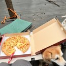 피자스쿨(장위고개점) 이미지