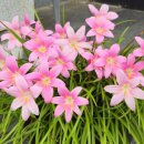 대동목욕탕 이미지