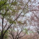 용산가족공원 주차장 화장실 이미지