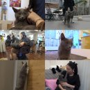 프로농장 이미지