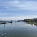 탄금호국제조정경기장 경기장 | [충주] 탄금호 국제조정경기장 &amp; 중앙탑 공원 &amp; 충주박물관 &amp; 무지개다리