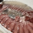 죽도시장 철이네 수산 포장 후기