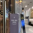 결혼준비｜부산 w웨딩 국민연금웨딩홀 더파티 프리미엄 뷔페 시식 후기