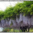 수맥과 풍수 이미지