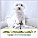 (주)플레이독소프트 | 강아지 치석 입냄새 고민?프로덴플라그오프소프트츄 급여 후기