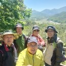 제454차 하늘재 옛길(530m)5.5(火) 定期山行 이미지