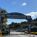 장성군청소년야영장(4D영상관) | 거제도 가볼만한곳 BEST 10 | 필수 관광지·숨은 명소·1박2일 여행코스 완벽 정리