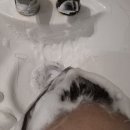 노은로(유성-23) | 지족동 미용실 피카룸 김훈쌤 커트 클리닉 후기