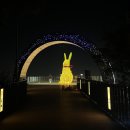 앞산케이블카 | 대구 앞산전망대 주차 가는길 케이블카