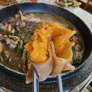 황제능이버섯 백숙 이미지