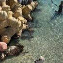 참나무숯불사우나 | 강릉 1박2일 일정 여행 코스 맛집 카페 로또 명당 호텔 추천