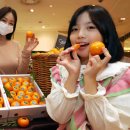 신세계청과 이미지