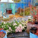 덕이 농장 이미지