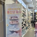 봉담봄날 | 봉담 '슈마커' - 프린세스 캐치 티니핑 2026 스프링 봄 신상 발매! 입학 선물 득템 성공기