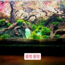 하이방방 | 광교미용실 긴머리 하이레이어드컷 후기, 무겁지 않고 세련된 실루엣을 원한다면
