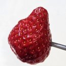 오간식영등포점 | 스타벅스, 봄동겉절이 실패, 이마트 영등포점, 세라떼, 컬리, 오호당 버터떡, 이삭토스트 신길역점)