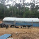 중인농장 이미지