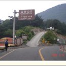 상운봉 | 050619_가지산(학심이골)