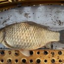 아름답개 이미지