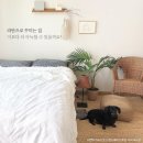 핸드메이드비 이미지