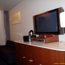 카멜리아 이미지