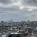 시논샵남산