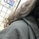 바다의형상 | 형상기억박물관