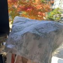 &#39;올렌느플라워&#39;사랑하는 엄마 생일선물로 돈다발꽃 그리고 사진으로 남기는 후기