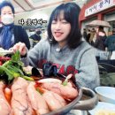 둥지휴양림 이미지